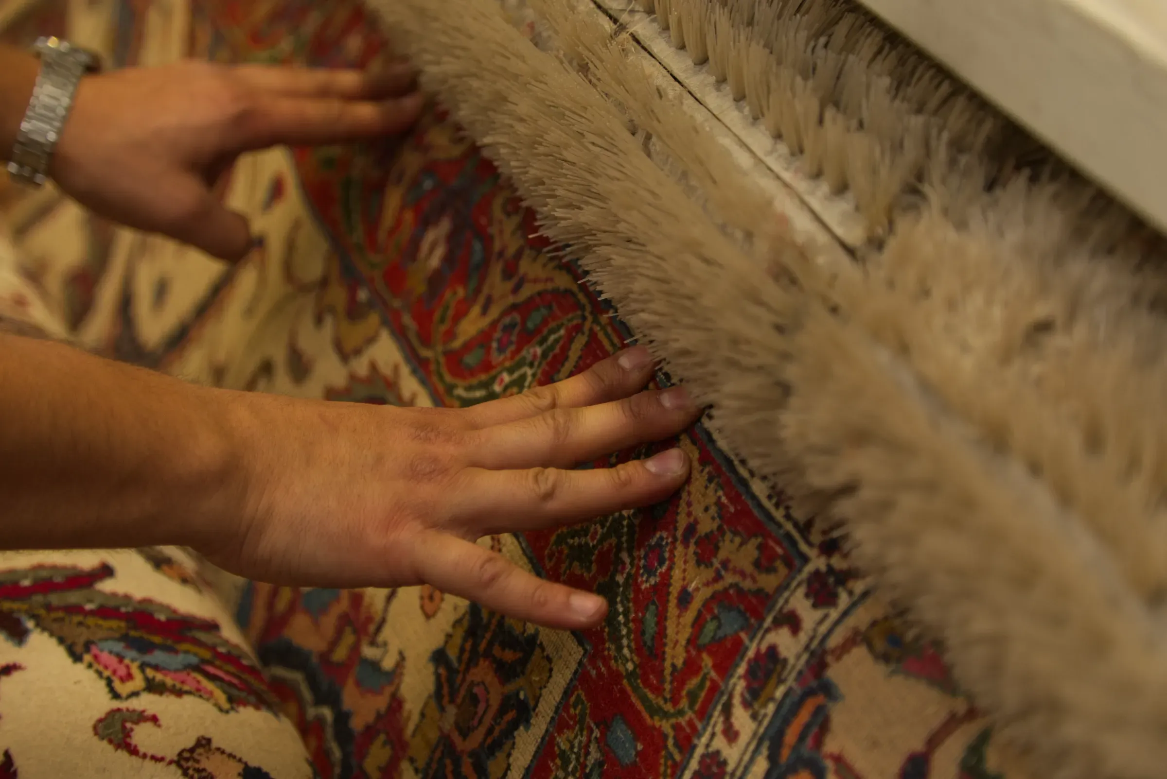 Professionelle Polsterreinigung von Sofa und Polstermöbeln
